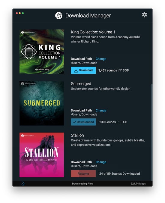 Download Manager Pro Sound Effects